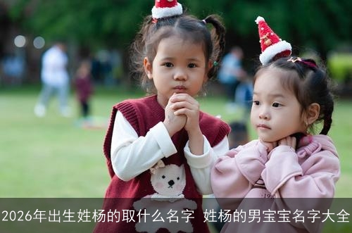 2026年出生姓杨的取什么名字 姓杨的男宝宝名字大全