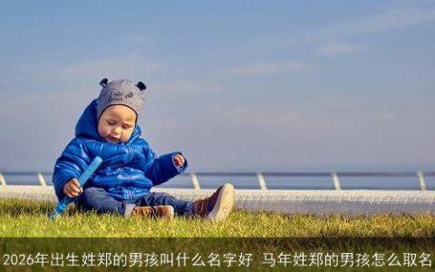 2026年出生姓郑的男孩叫什么名字好 马年姓郑的男孩怎么取名