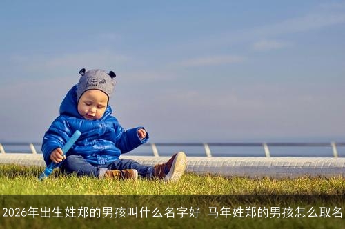 2026年出生姓郑的男孩叫什么名字好 马年姓郑的男孩怎么取名