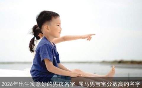 2026年出生寓意好的男孩名字 属马男宝宝分数高的名字