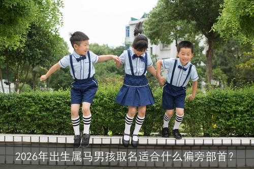 2026年出生属马男孩取名适合什么偏旁部首？