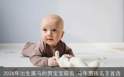 2026年出生属马的男宝宝取名 马年男孩名字首选