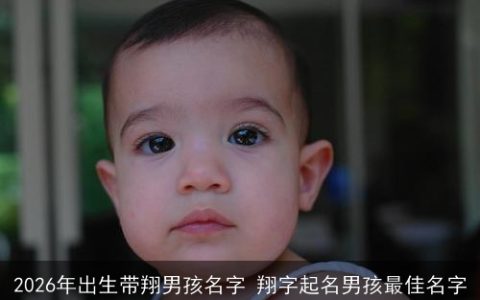2026年出生带翔男孩名字 翔字起名男孩最佳名字