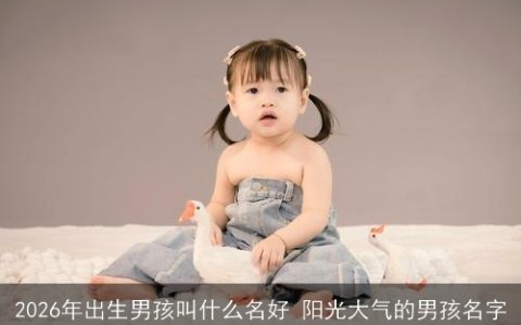 2026年出生男孩叫什么名好 阳光大气的男孩名字