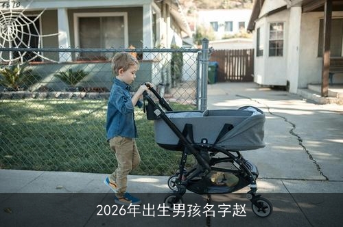 2026年出生男孩名字赵