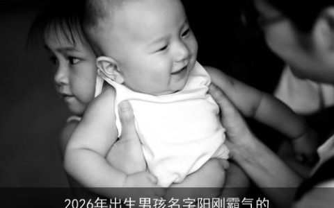 2026年出生男孩名字阳刚霸气的