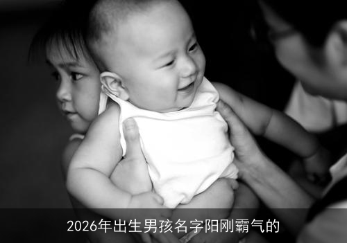 2026年出生男孩名字阳刚霸气的