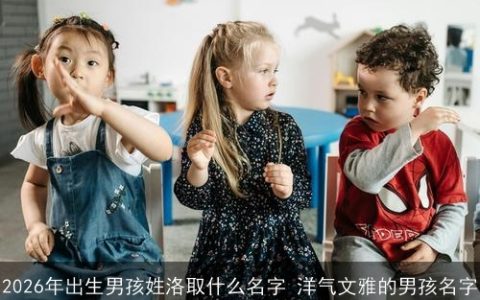 2026年出生男孩姓洛取什么名字 洋气文雅的男孩名字