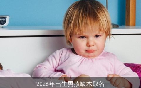 2026年出生男孩缺木取名