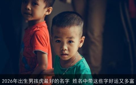 2026年出生男孩虎最好的名字 姓名中带这些字好运又多富