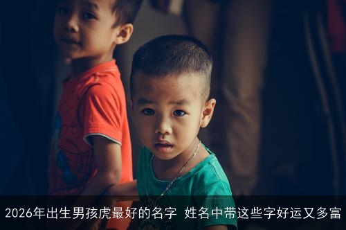 2026年出生男孩虎最好的名字 姓名中带这些字好运又多富
