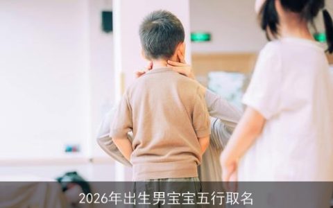 2026年出生男宝宝五行取名