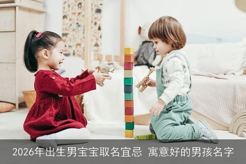 2026年出生男宝宝取名宜忌 寓意好的男孩名字