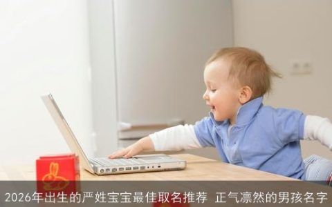 2026年出生的严姓宝宝最佳取名推荐 正气凛然的男孩名字