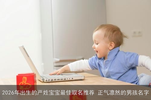 2026年出生的严姓宝宝最佳取名推荐 正气凛然的男孩名字