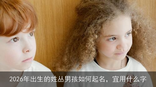 2026年出生的姓丛男孩如何起名，宜用什么字