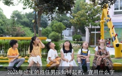 2026年出生的姓任男孩如何起名，宜用什么字