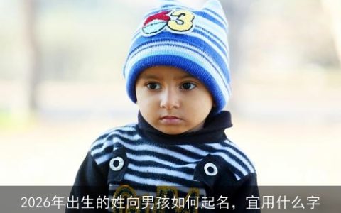 2026年出生的姓向男孩如何起名，宜用什么字