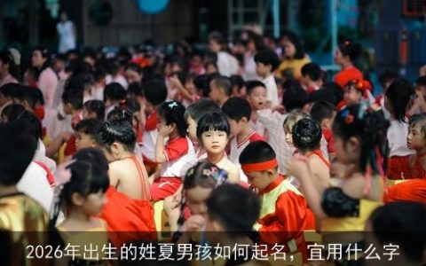 2026年出生的姓夏男孩如何起名，宜用什么字