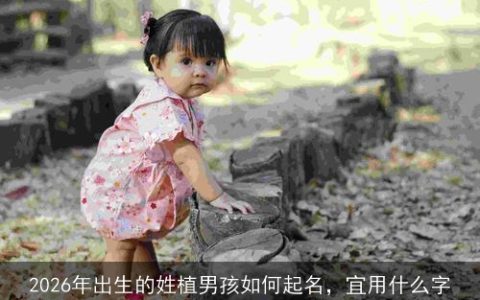 2026年出生的姓植男孩如何起名，宜用什么字