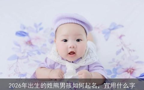 2026年出生的姓熊男孩如何起名，宜用什么字