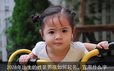 2026年出生的姓裴男孩如何起名，宜用什么字