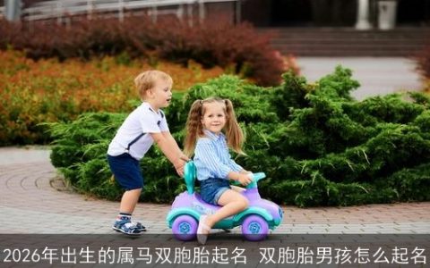 2026年出生的属马双胞胎起名 双胞胎男孩怎么起名