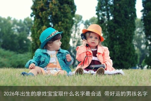 2026年出生的廖姓宝宝取什么名字最合适 带好运的男孩名字