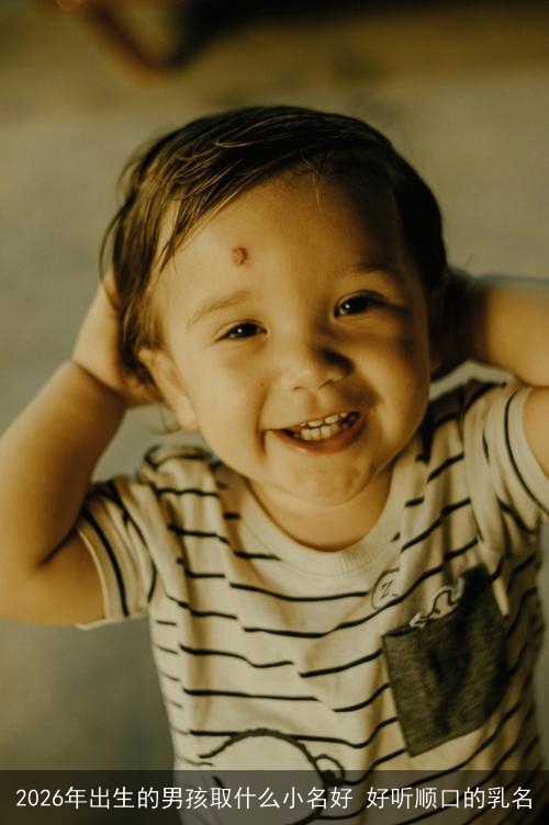 2026年出生的男孩取什么小名好 好听顺口的乳名