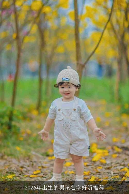 2026年出生的男孩名字好听推荐