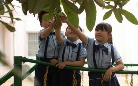 2026年出生的男孩子取名大全