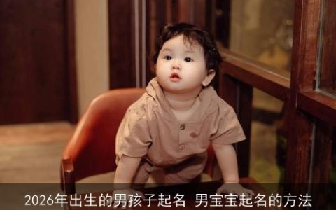 2026年出生的男孩子起名 男宝宝起名的方法