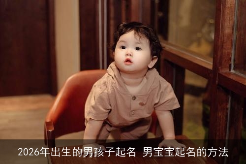 2026年出生的男孩子起名 男宝宝起名的方法