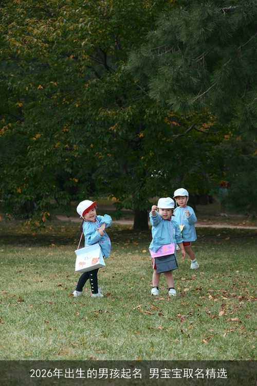 2026年出生的男孩起名 男宝宝取名精选