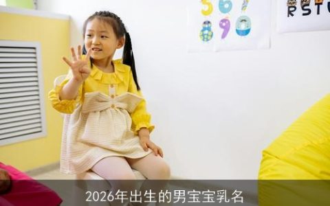 2026年出生的男宝宝乳名
