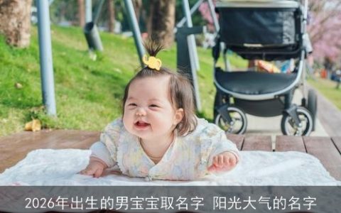 2026年出生的男宝宝取名字 阳光大气的名字