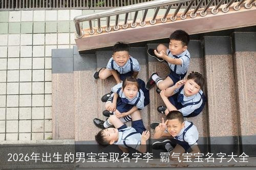 2026年出生的男宝宝取名字李 霸气宝宝名字大全