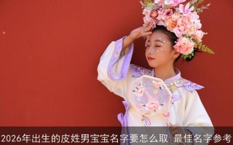 2026年出生的皮姓男宝宝名字要怎么取 最佳名字参考