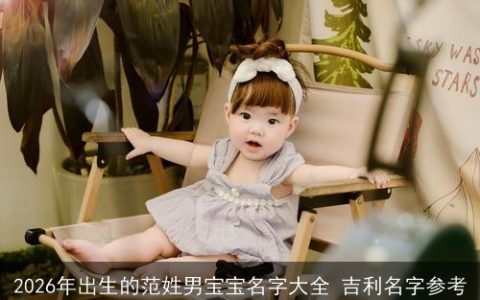 2026年出生的范姓男宝宝名字大全 吉利名字参考