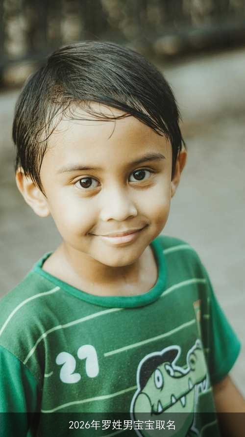 2026年罗姓男宝宝取名
