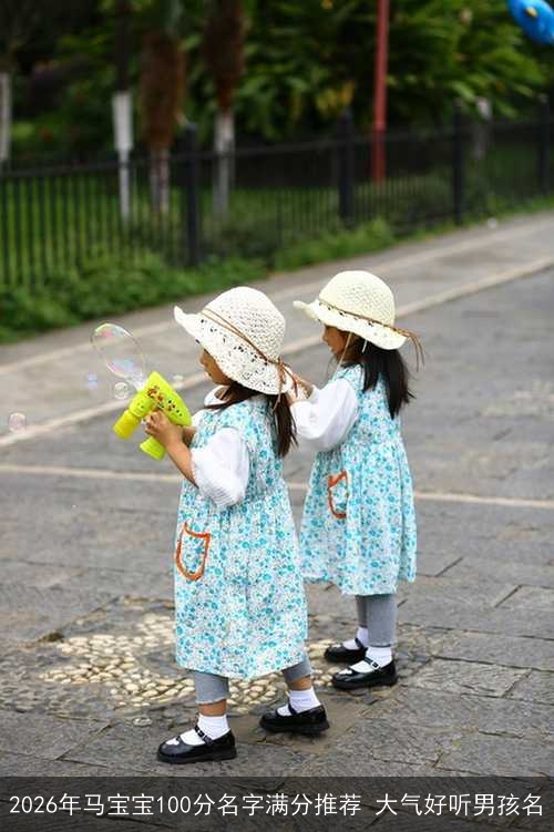 2026年马宝宝100分名字满分推荐 大气好听男孩名
