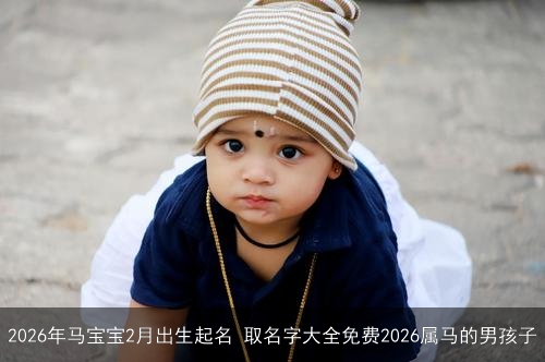 2026年马宝宝2月出生起名 取名字大全免费2026属马的男孩子