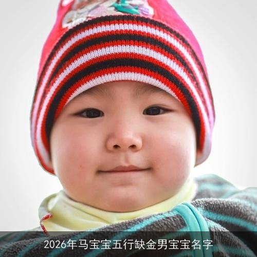 2026年马宝宝五行缺金男宝宝名字