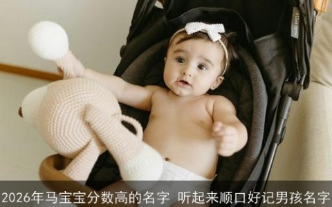 2026年马宝宝分数高的名字 听起来顺口好记男孩名字