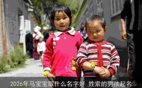2026年马宝宝取什么名字好 姓索的男孩起名