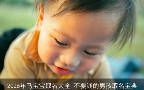 2026年马宝宝取名大全 不要钱的男孩取名宝典