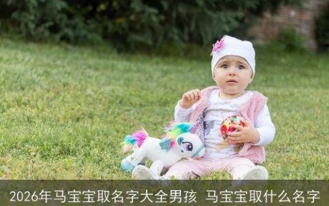2026年马宝宝取名字大全男孩 马宝宝取什么名字