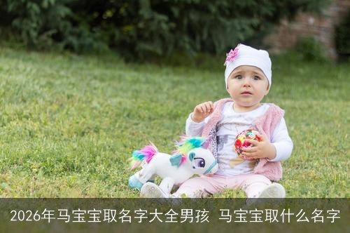 2026年马宝宝取名字大全男孩 马宝宝取什么名字