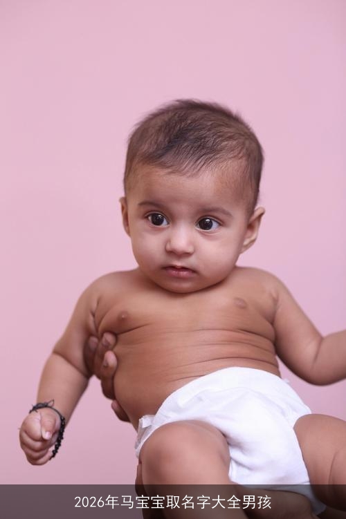 2026年马宝宝取名字大全男孩
