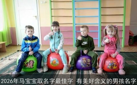 2026年马宝宝取名字最佳字 有美好含义的男孩名字